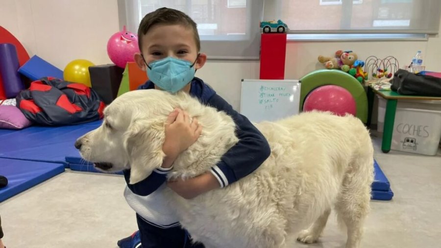 LADRIDOS QUE CURAN. El Hospital Vilela autorizar&aacute; el ingreso de animales de compa&ntilde;&iacute;a como apoyo emocional para ni&ntilde;os internados.
