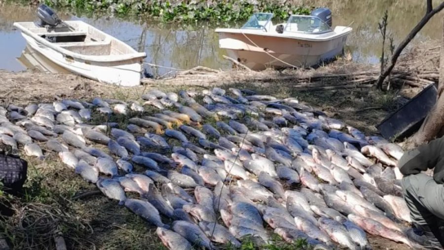 POLEMICA. Los pescadores de Santa Fe mostraron su preocupaci&oacute;n por la prohibici&oacute;n de exportaciones.