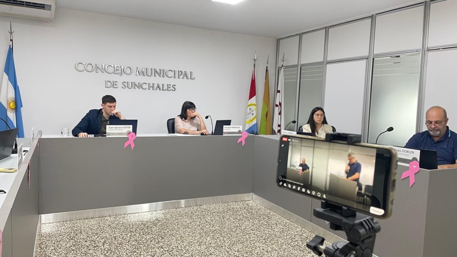 Un momento de la sesi&oacute;n extraordinaria de la v&iacute;spera.