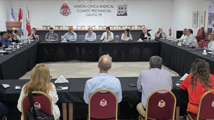 Joaqu&iacute;n Blanco, Gisela Scaglia, Felipe Michlig, Maximiliano Pullaro y Clara Garc&iacute;a durante el plenario de Unidos en Santa Fe.