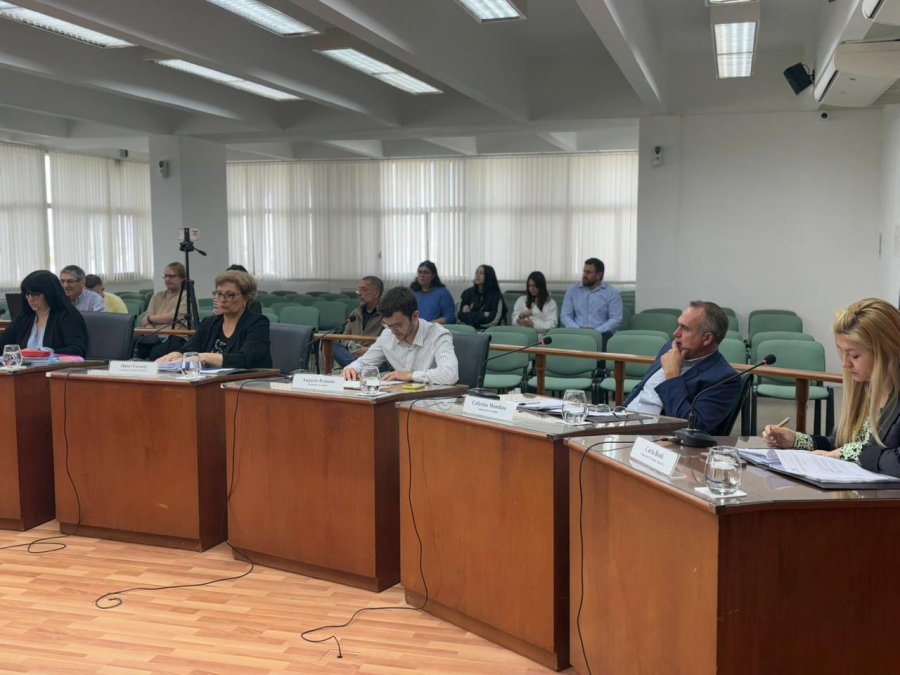 Desde el oficialismo, Alejandra Sagardoy se comprometi&oacute; a agilizar la firma de convenios entre el Municipio y la Provincia para facilitar capacitaciones sobre la Ley Micaela. (FOTO PRENSA CONCEJO)