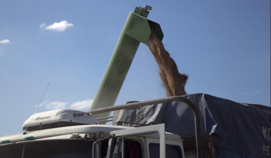 IMPULSO. El sector agroindustrial alcanz&oacute; ventas externas por 4.930 millones de d&oacute;lares y 9,7 millones de toneladas durante septiembre de 2025.