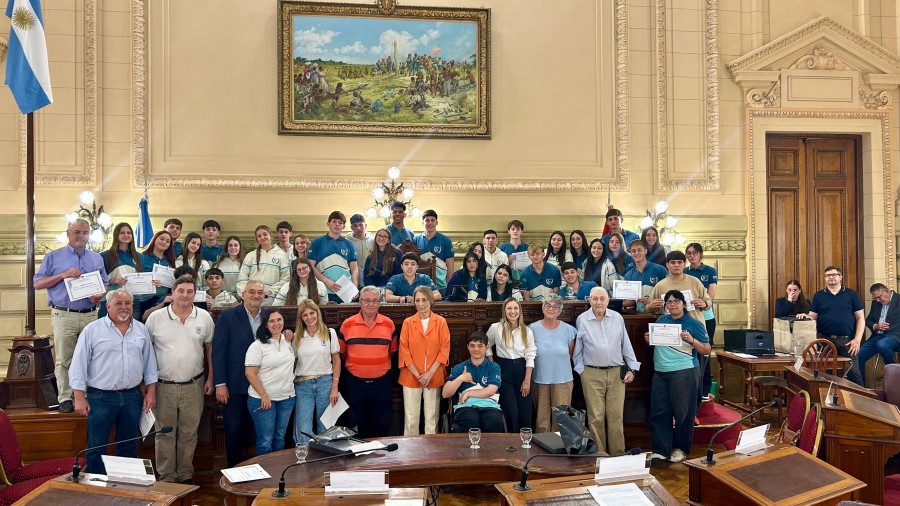 El contingente en la C&aacute;mara de Senadores.