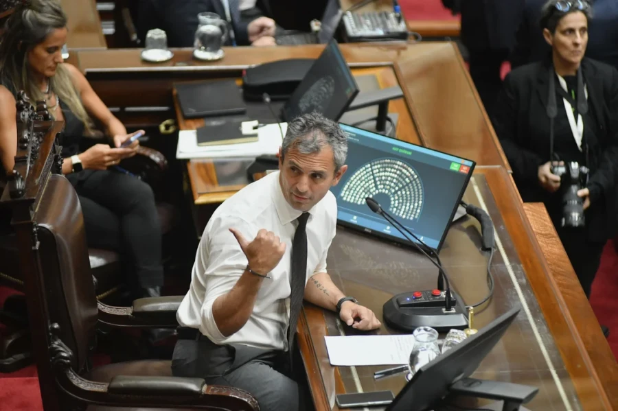 El titular de la C&aacute;mara de Diputados, Mart&iacute;n Menem.