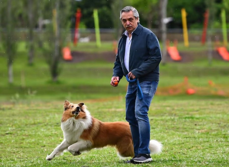 CON DYLAN. &ldquo;Fuiste parte de mi vida, d&aacute;ndome lealtad, alegr&iacute;a y ternura&rdquo;, escribi&oacute; el ex jefe de Estado en sus cuentas, informando sobre la muerte de la mascota.