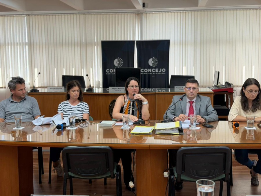 En el encuentro se evalu&oacute; el proyecto y se realizaron diversas consultas.