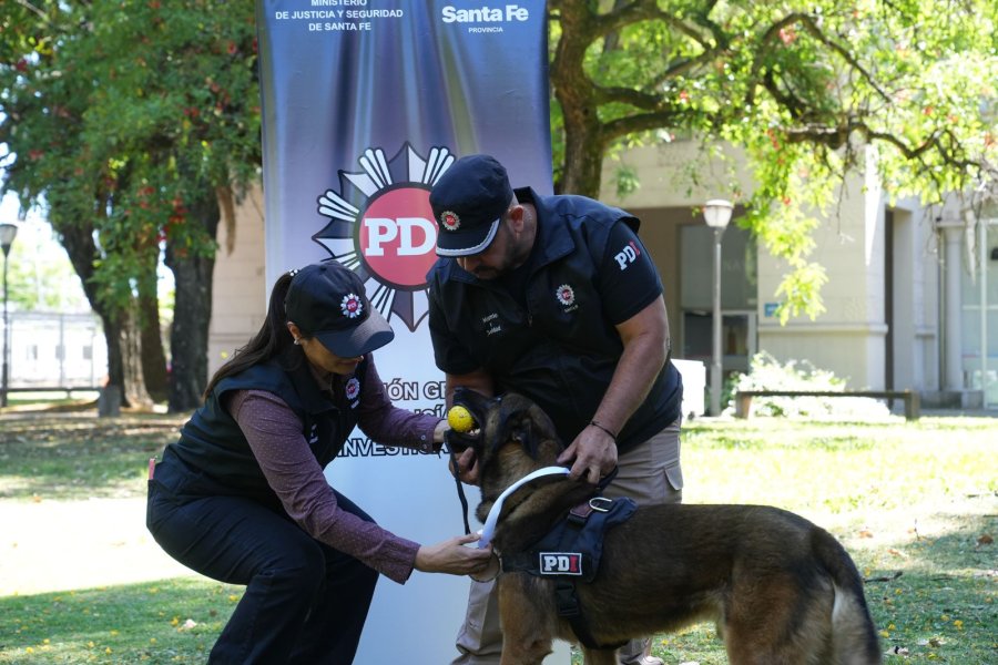 Destacada participaci&oacute;n de perros detectores de estupefacientes.