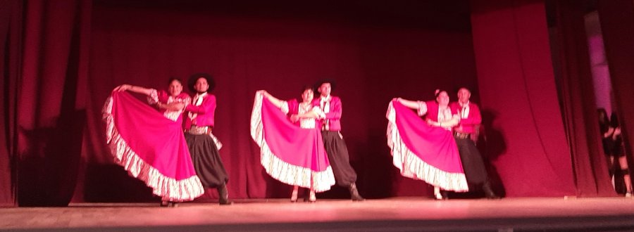 Las danzas criollas ti&ntilde;eron de argentinidad la realizaci&oacute;n.