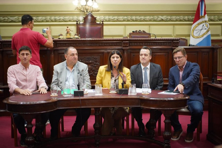 La primera audiencia p&uacute;blica se realiz&oacute; este mi&eacute;rcoles en la C&aacute;mara de Diputados en la ciudad capital.