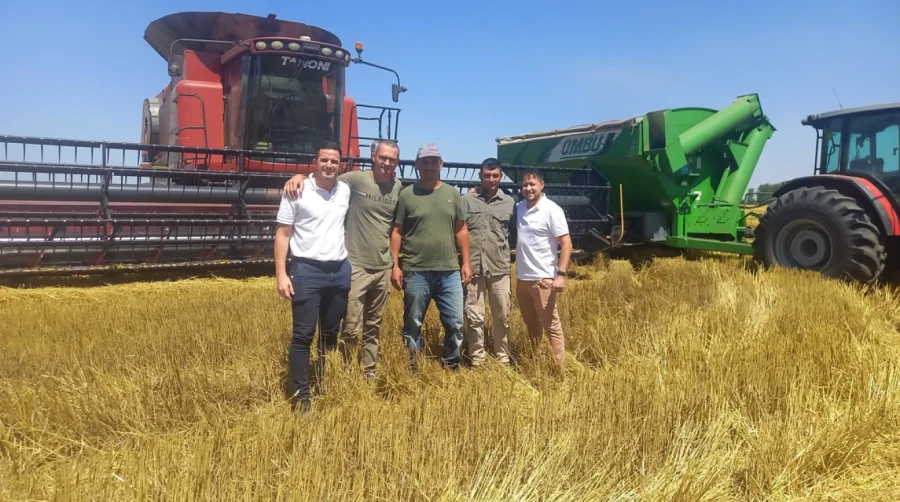 ESPIGAS DORADAS. Productores junto a t&eacute;cnicos de la Cooperativa Lehmann en un campo de trigo y los equipos de trilla.