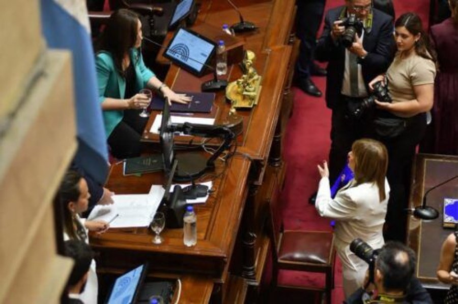 CEREMONIA EN EL SENADO. Juraron los nuevos senadores y Villaverde se mantuvo fuera del recinto.