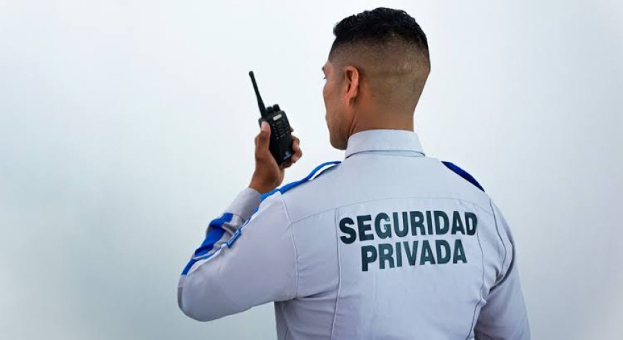 La C&aacute;mara de Diputados convirti&oacute; en ley el proyecto que regula la prestaci&oacute;n privada de servicios de vigilancia, custodia y seguridad.