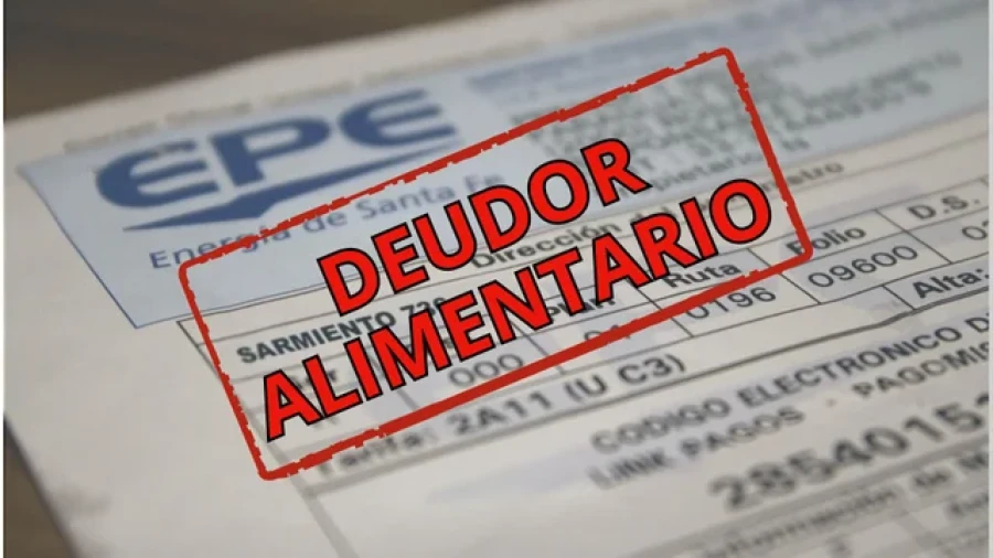 Un deudor alimentario quedar&aacute; expuesto en la factura de luz.