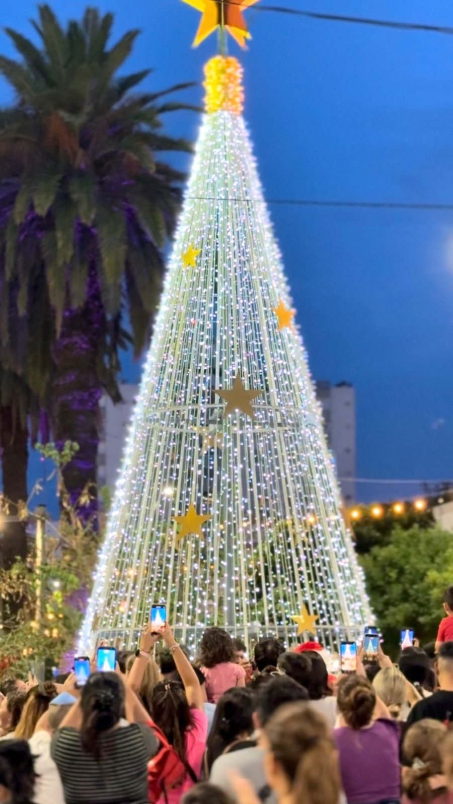 LUCES ENCENDIDAS. La actividad, que cada a&ntilde;o convoca a numerosas familias, volvi&oacute; a llenar de color y alegr&iacute;a el comienzo de la temporada de fiestas en la ciudad.