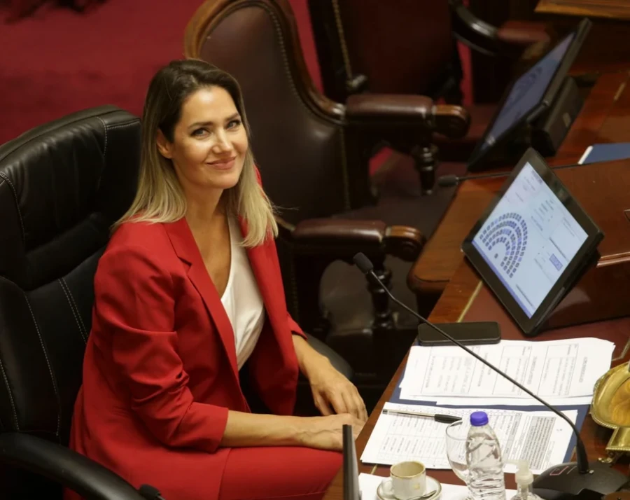 Losada anticip&oacute; el apoyo de la bancada radical al proyecto de reforma laboral que impulsa el Gobierno.