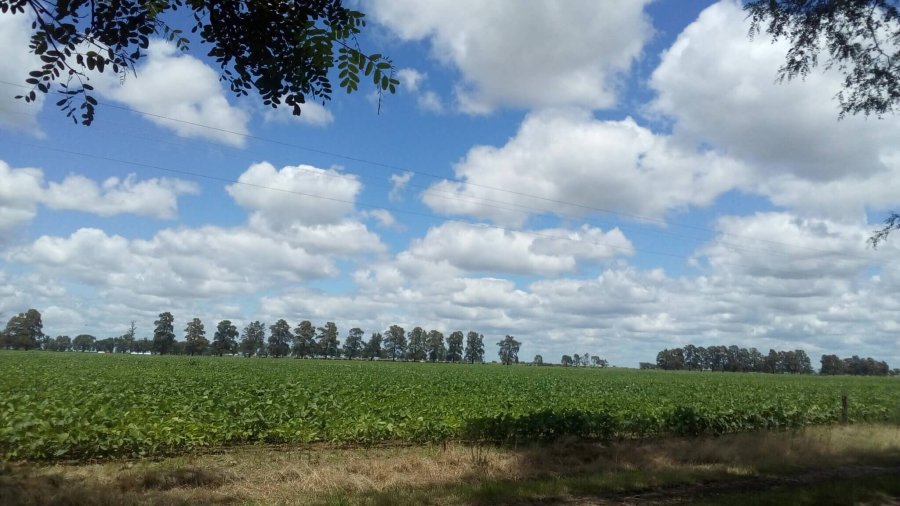 La presi&oacute;n impositiva que enfrenta el campo contin&uacute;a siendo &ldquo;asfixiante&rdquo; en todos los niveles, se&ntilde;al&oacute; la Sociedad Rural de Rafaela.