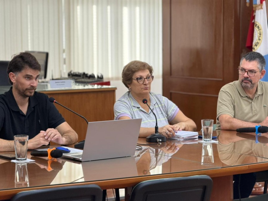 El proyecto se tratar&aacute; el martes 30 de diciembre a trav&eacute;s de una sesi&oacute;n extraordinaria.