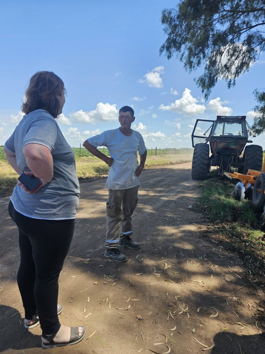 Con esfuerzo constante se mantiene en condiciones la red vial rural..