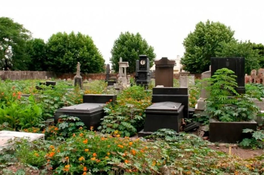 Cementerio de la Sociedad Israelita de Socorros Mutuos.