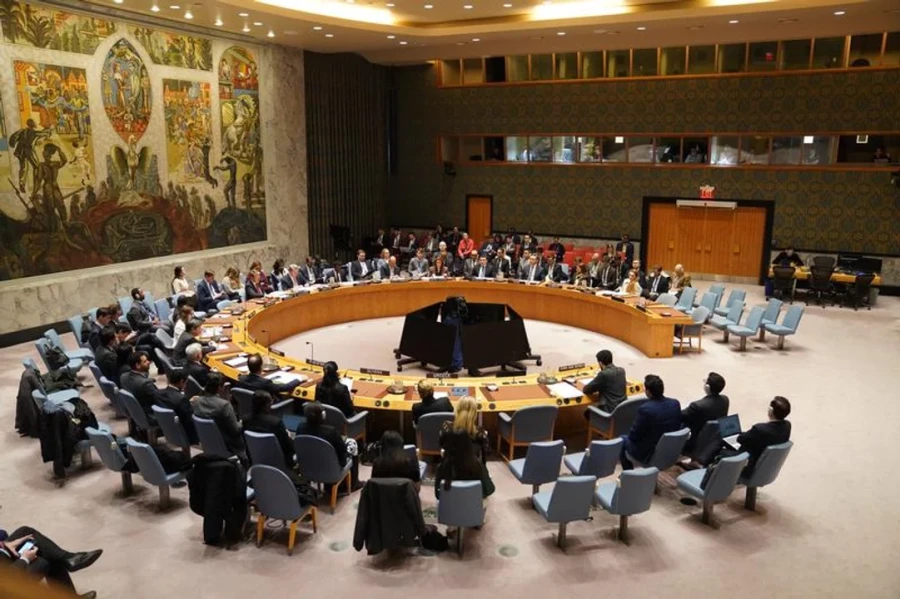 Consejo de Seguridad de la ONU.