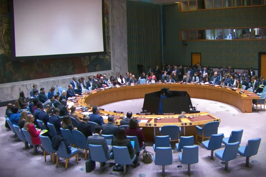 Consejo de Seguridad de la ONU.