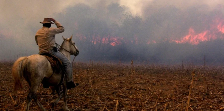 Los productores afectados por incendios podr&aacute;n acceder a l&iacute;neas de cr&eacute;ditos especiales del BNA.