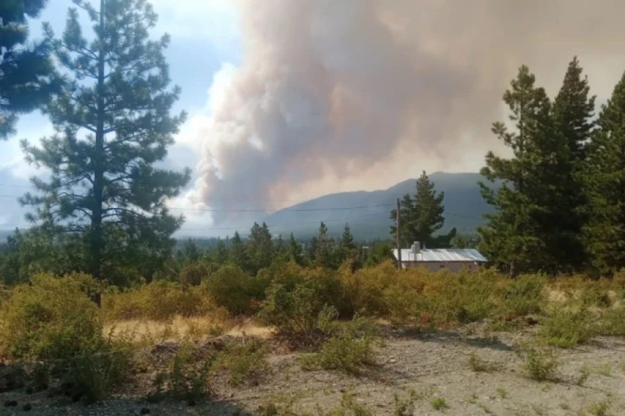 Incendios forestales en la Patagonia.