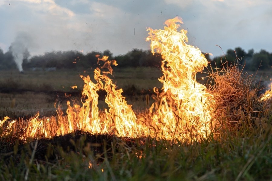 C&oacute;mo evitar generaci&oacute;n de incendios.