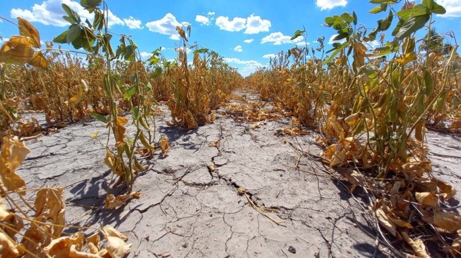 Se aprob&oacute; el pedido de pr&oacute;rroga de la provincia de Santa Fe para extender la emergencia agropecuaria por sequ&iacute;a en el norte provincial.