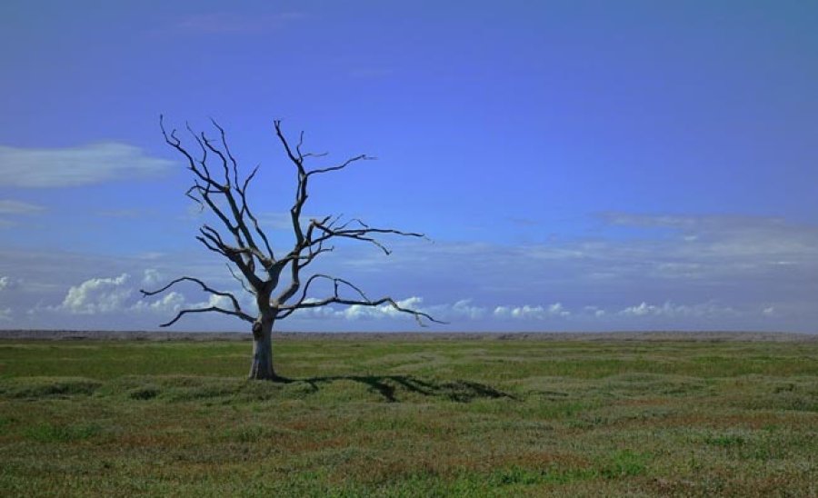 No cabe duda alguna, de que en nuestras futuras acciones est&aacute; la salvaci&oacute;n del planeta Tierra, el &uacute;nico hogar que hasta ahora conocemos para vivir.
