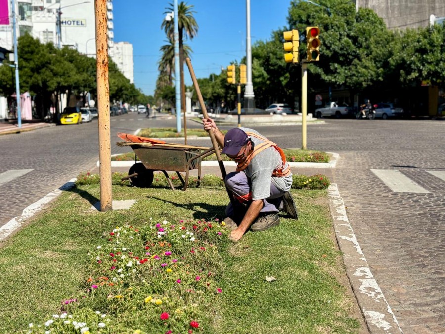 Estas acciones tienen por objetivo una ciudad limpia y ordenada.