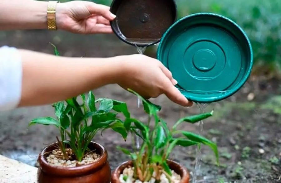 Es importante evitar la presencia de elementos que al aire libre puedan acumular agua.