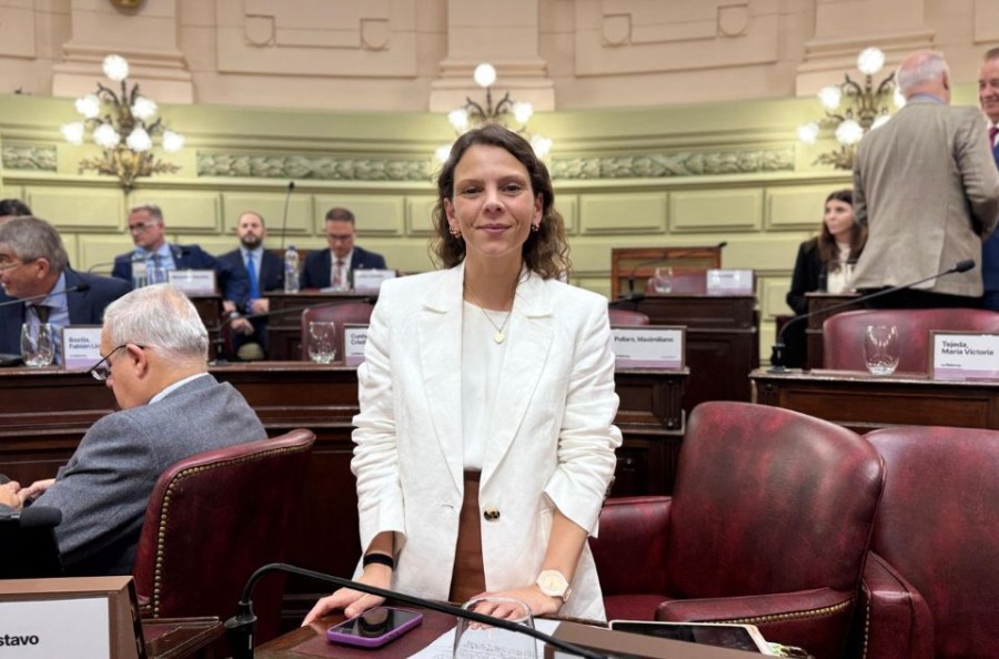La diputada rafaelina provincial, Gisel Mahmud, en la Legislatura.