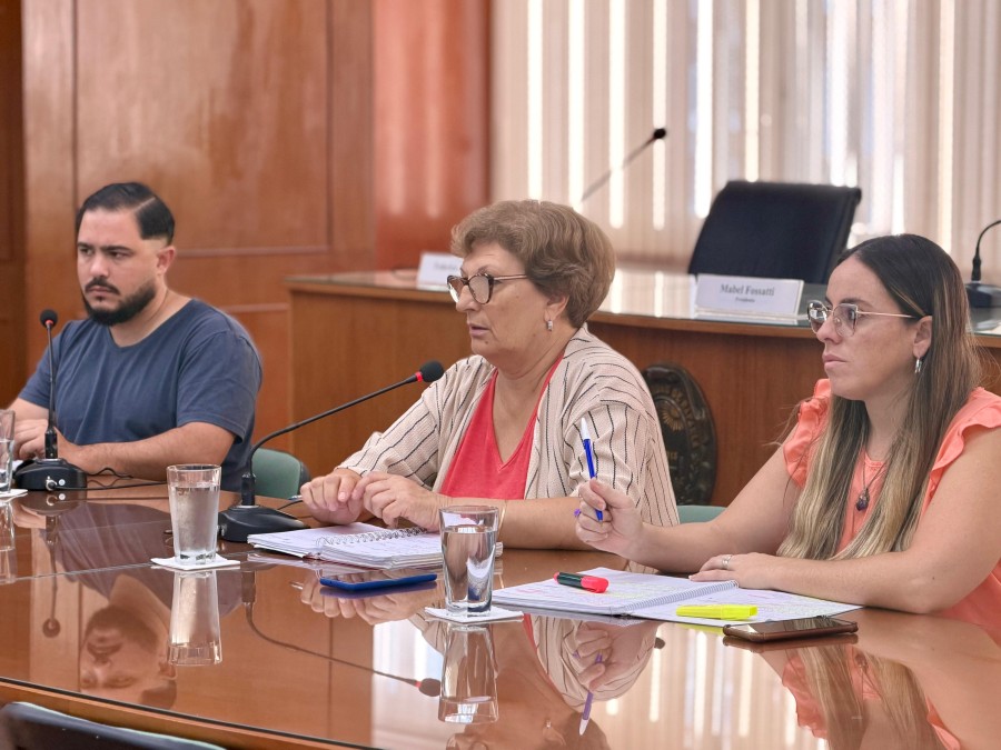 La presidenta del Concejo, Mabel Fossatti, debi&oacute; intervenir en forma reiterada para encauzar el debate en el marco de la reuni&oacute;n de comisiones del Concejo. (FOTO PRENSA CONCEJO)