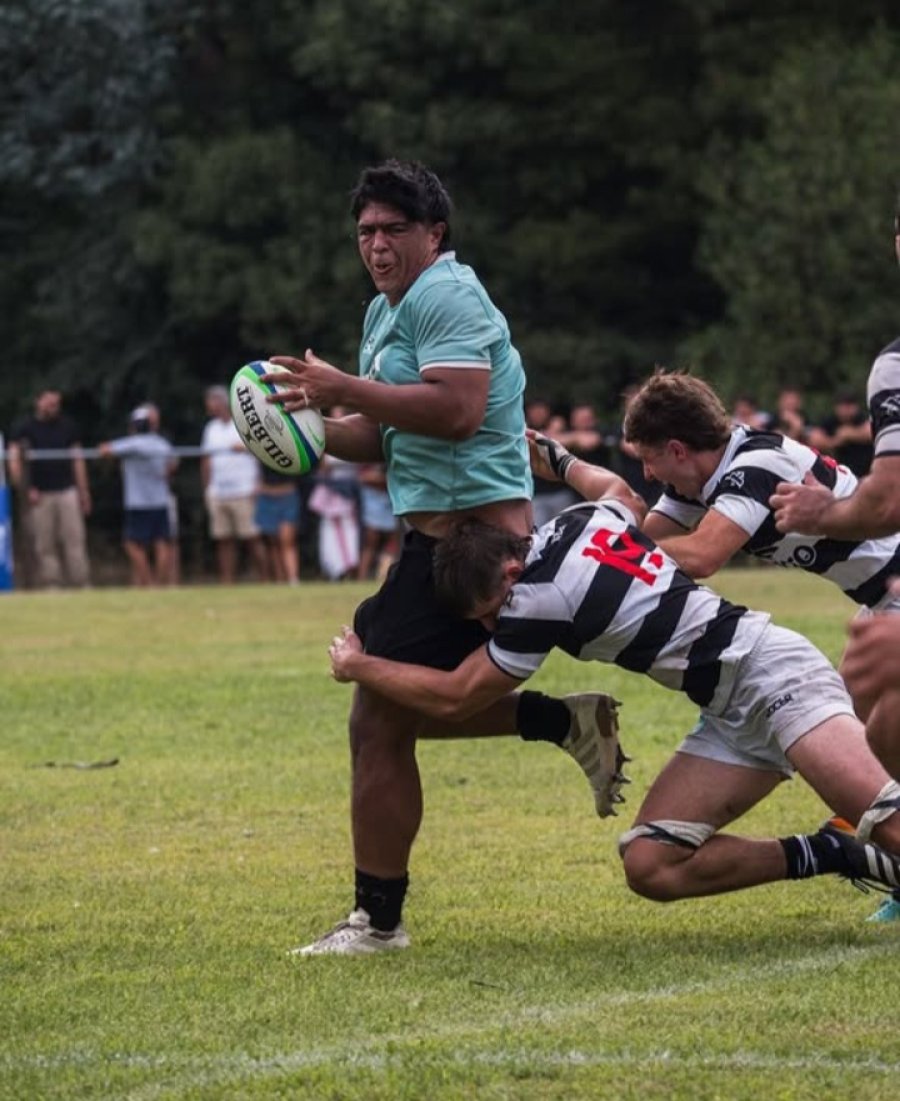 PURA POTENCIA. El pilar rafaelino.