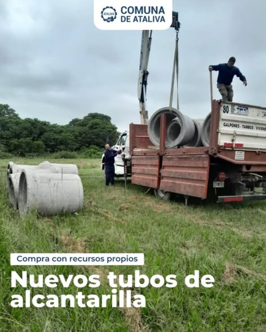 Los elementos recientemente adquiridos.
