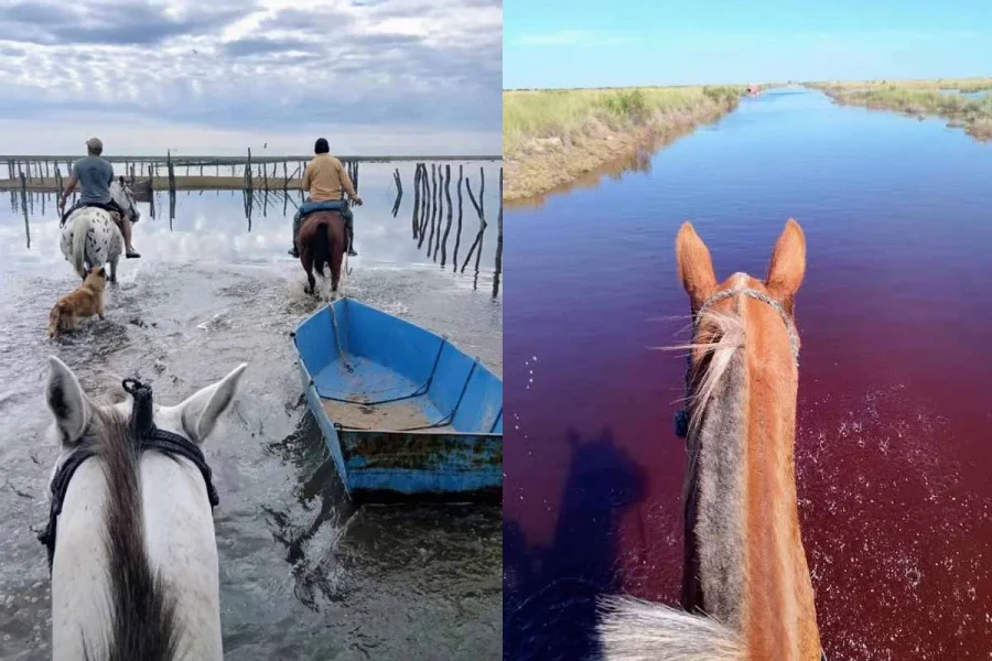 Triste realidad que muestra la provincia norte&ntilde;a.