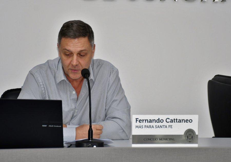 Fernando Cattaneo, el presidente del Cuerpo durante su exposici&oacute;n.