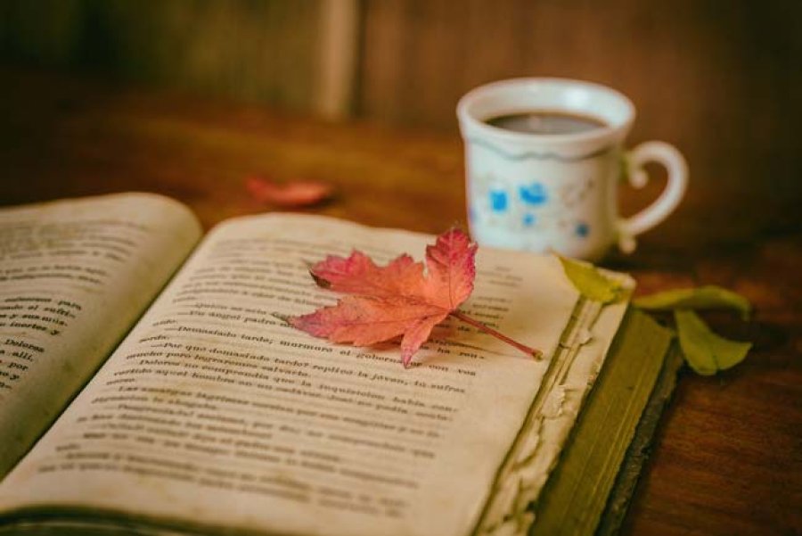 La meta fundamental es fomentar el h&aacute;bito de la lectura.