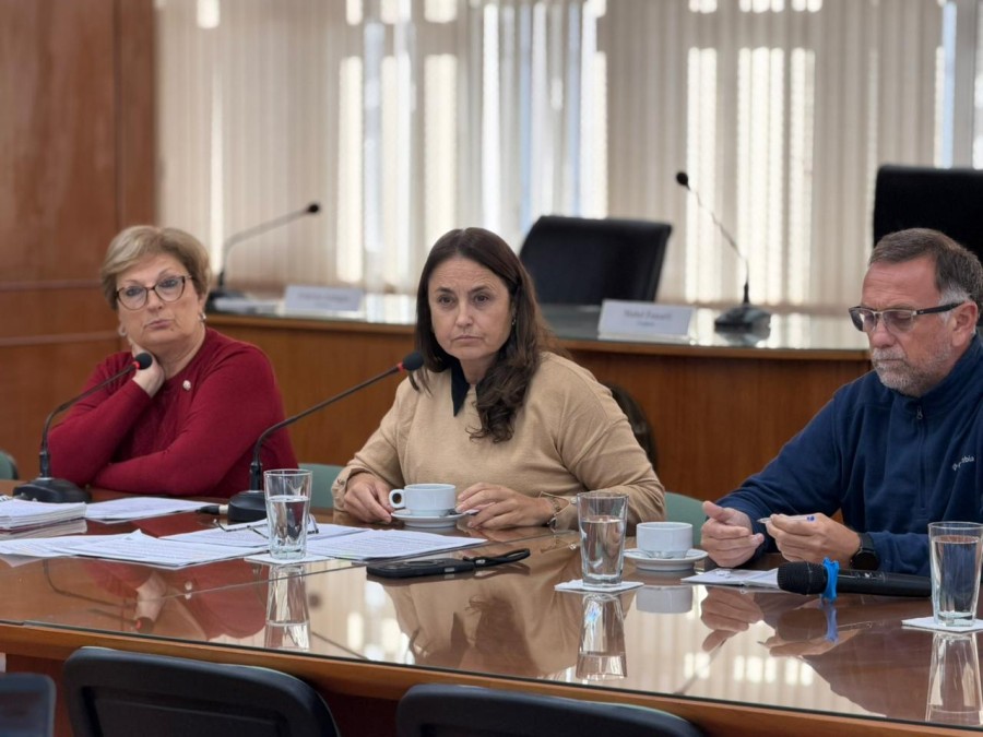 La presidente del Concejo, Mabel Fossatti, la secretaria de Desarrollo Econ&oacute;mico, Patricia Imoberdorf y el coordinador del &aacute;rea, Diego Peiretti.