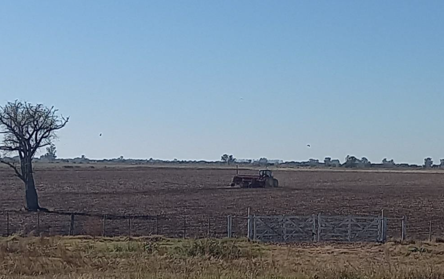 Lote con rastrojo de soja temprana (de primera), en pleno proceso de siembra de trigo, en el centro oeste del departamento Castellanos.
