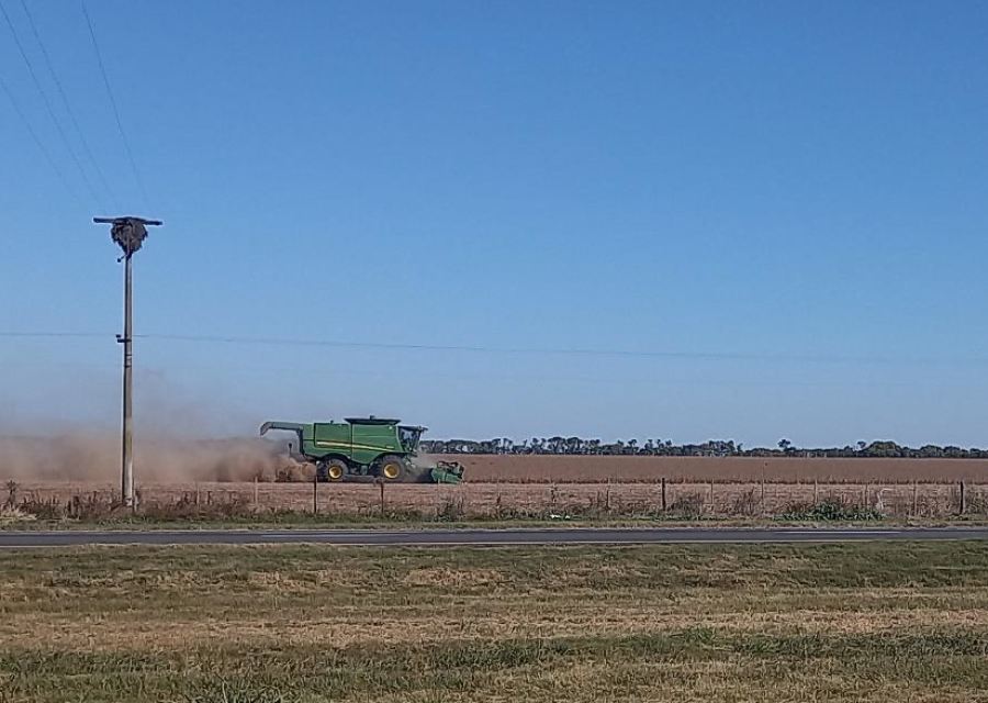 Lote con soja tard&iacute;a (de segunda) en muy buen estado en pleno proceso de cosecha, en el centro oeste del departamento Las Colonias. (FOTO BCSF)