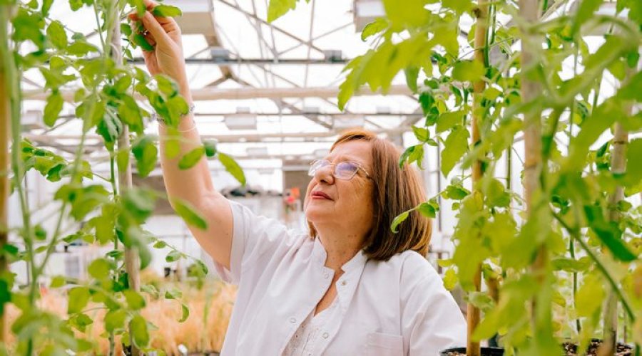 &ldquo;Las plantas son &uacute;nicas y extraordinarias, son seres vivos excepcionales que, de manera directa o indirecta, nos proveen todos nuestros alimentos y reponen el ox&iacute;geno que respiramos", afirm&oacute; Chan.  (FOTO CONICET)