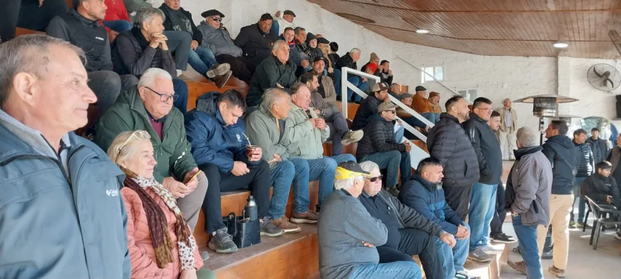 Una importante cantidad de productores en las gradas para observar a la hacienda en pleno proceso de remate. (FOTO CGL)