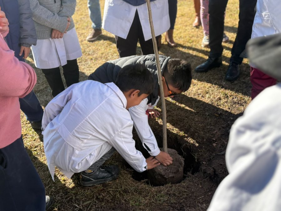 La meta es combatir el cambio clim&aacute;tico, mejorar la biodiversidad y recuperar el arbolado p&uacute;blico, utilizando principalmente especies nativas.