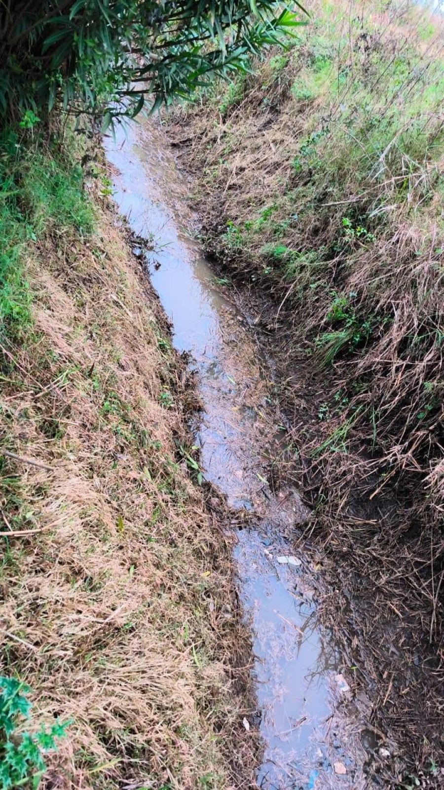 Para mejorar el drenaje la Comuna se ocup&oacute; de liberar de deshechos y malezas a los cursos de agua.