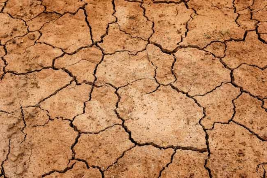 La degradaci&oacute;n de los suelos en distintas regiones del mundo, se produce como consecuencia de las continuas actividades humanas que cada d&iacute;a se llevan a cabo.