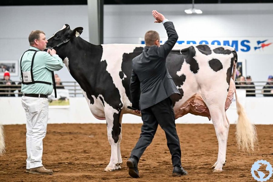 Un especialista en la raza Holando participar&aacute; como jurado internacional en la ExpoRural de Rafaela.