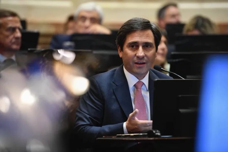 INICIATIVA. Mart&iacute;n Goerling, jefe del bloque PRO en el Senado de la Naci&oacute;n.