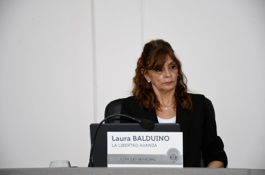 Laura Balduino, hoy presidi&oacute; la sesi&oacute;n.